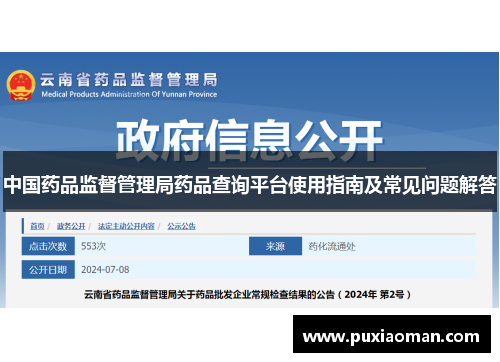 中国药品监督管理局药品查询平台使用指南及常见问题解答