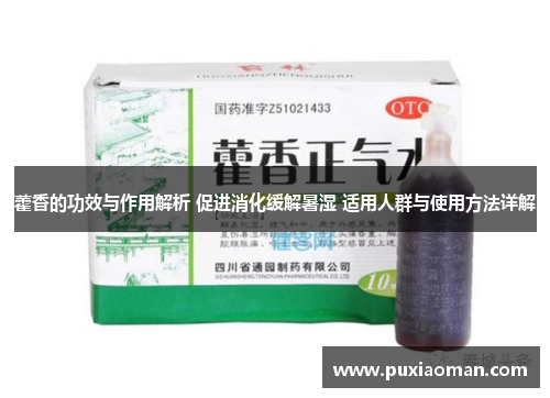 藿香的功效与作用解析 促进消化缓解暑湿 适用人群与使用方法详解