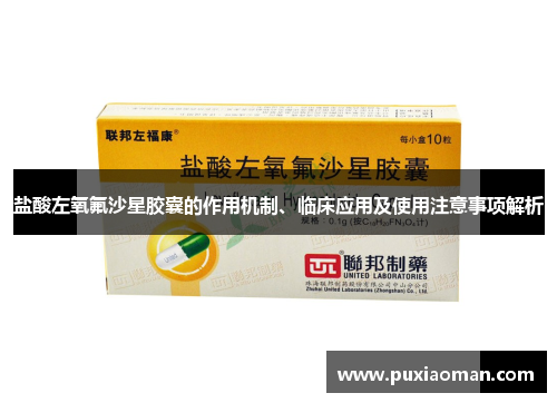 盐酸左氧氟沙星胶囊的作用机制、临床应用及使用注意事项解析