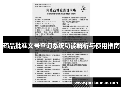 药品批准文号查询系统功能解析与使用指南