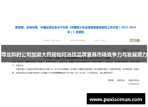尊龙凯时公司加盟大药房如何选择品牌更具市场竞争力与发展潜力