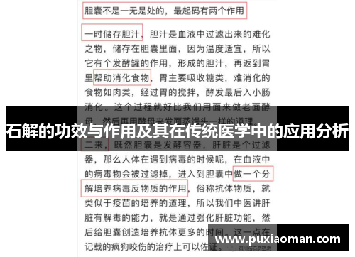石解的功效与作用及其在传统医学中的应用分析