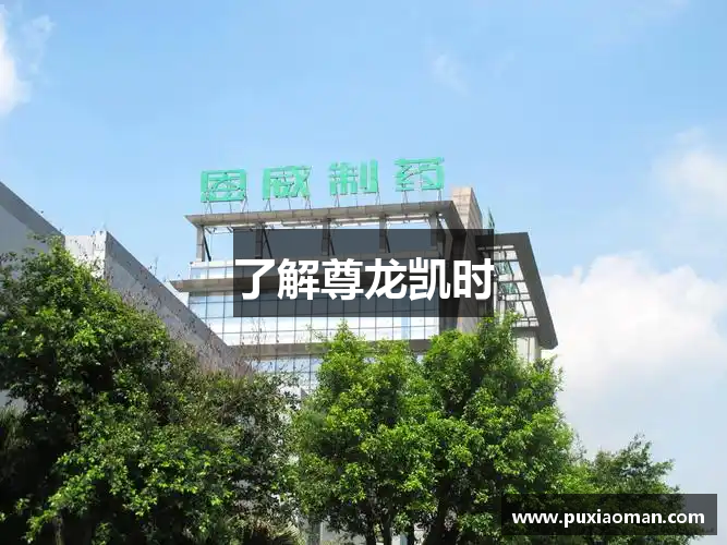 了解尊龙凯时